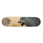 Canis patineta