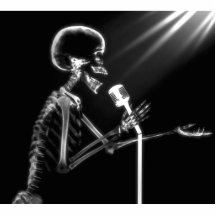 CANTO ESQUELÉTICO DE LA RADIOGRAFÍA EN MIC RETRO - ESCULTURA FOTOGRAFICA