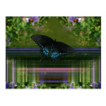Capa de la mariposa tarjetas postales