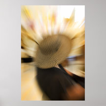 Capos II Posters