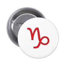Capricornio, símbolo del zodiaco, horóscopo pin