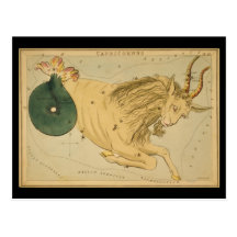 Capricornus (Capricornio) Tarjeta Postal