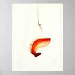 Captura de oro poster