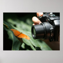 Capture una mariposa impresiones