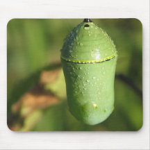 Capullo Mousepad del monarca Alfombrillas De Raton