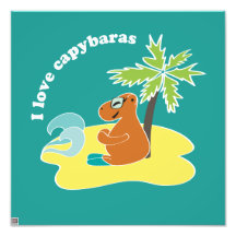 Capybara Fotografia