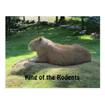 Capybara gigante postal