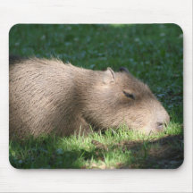 Capybara Tapete De Ratón