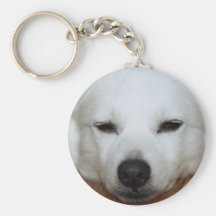 Cara americana del perro esquimal llaveros personalizados