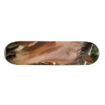 Cara ascendente cercana del caballo patin personalizado
