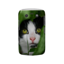 Cara blanco y negro del gatito blackberry bold protectores