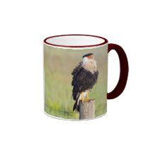 Cara Cara Taza De Café