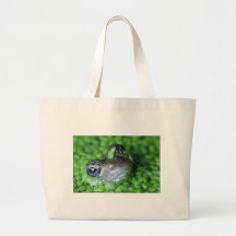 Cara de la rana bolsa