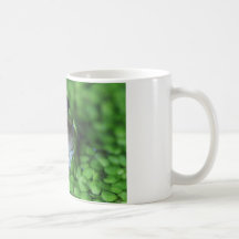 Cara de la rana taza de café