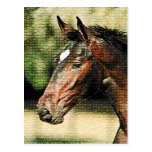 Cara de las tejas de mosaico del caballo tarjetas postales