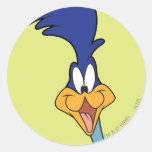 Cara de los correcaminos pegatinas  