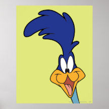 Cara de los correcaminos posters