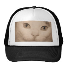 cara del gatito de la sepia gorras