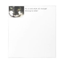 cara del gato blocs