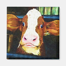Cara divertida de la vaca iman