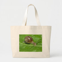 Caracol Bolsas