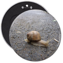 Caracol corriente pins