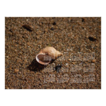 Caracol de agua dulce Shell; Calendario 2013 Fotografía