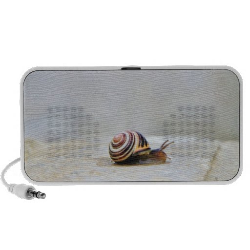 Caracol de jardín inglés en una roca iPod altavoces