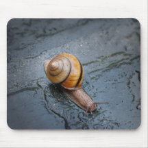 Caracol enérgico en un día lluvioso tapete de ratones