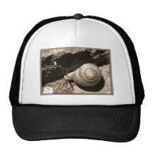 Caracol Gorros Bordados