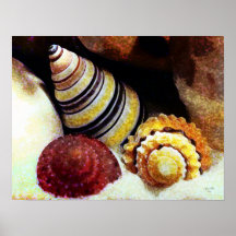 Caracol haitiano del árbol, top y caramelo Shell d Impresiones