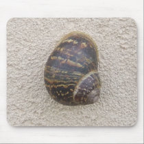 Caracol solo en la pared Mousepad alfombrillas de raton 