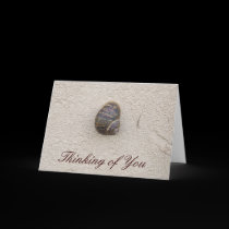 Caracol solo en la tarjeta de felicitación de la p tarjetas
