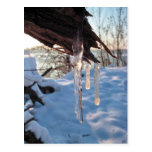 carámbanos fríos del invierno después de la primer postal