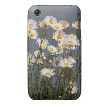 Caras soleadas iPhone 3 protector