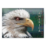 card955 tarjetón