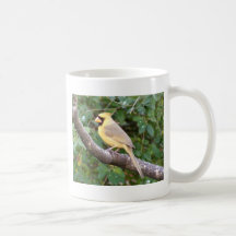 Cardenal amarillo tazas