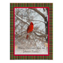 Cardenal con el marco tarjeta postal