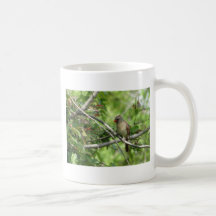 Cardenal de sexo femenino que se sienta tazas de café