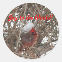 Cardenal de sexo masculino rojo de los pegatinas e