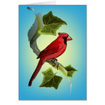 Cardenal en rama con las hojas de la hiedra tarjeta