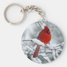 Cardenal rojo en el llavero de la nieve