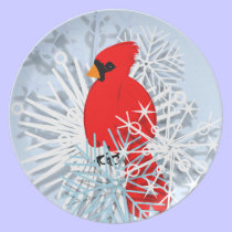 Cardenal rojo en estrellas de la nieve platos
