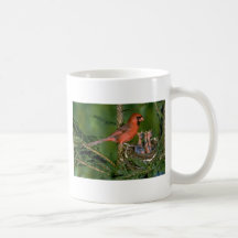 Cardenal septentrional con los jóvenes taza de café