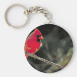 Cardenal septentrional llavero personalizado