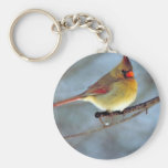 Cardenal septentrional llaveros