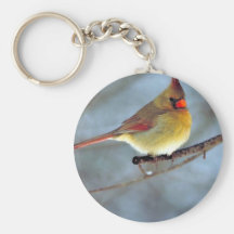 Cardenal septentrional llaveros