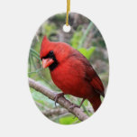 Cardenal septentrional -- Pájaro tradicional del n Adornos De Navidad