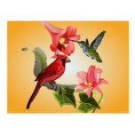 Cardenal y colibrí con los lirios y la hiedra rosa tarjetas postales