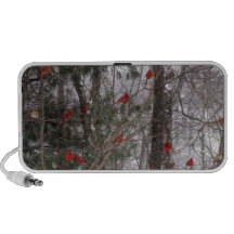 Cardenales del invierno altavoces de viajar
